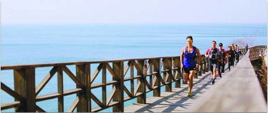 519中国旅游日 青岛推出多样主题活动，提供便捷旅游信息咨询